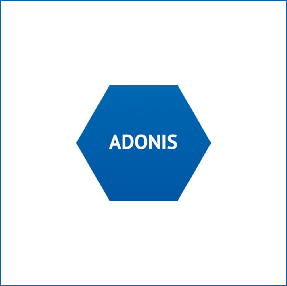 System ADONIS jako pomoc do zarządzania procesami biznesowymi